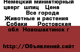 Немецкий миниатюрный(цверг) шпиц › Цена ­ 50 000 - Все города Животные и растения » Собаки   . Ростовская обл.,Новошахтинск г.